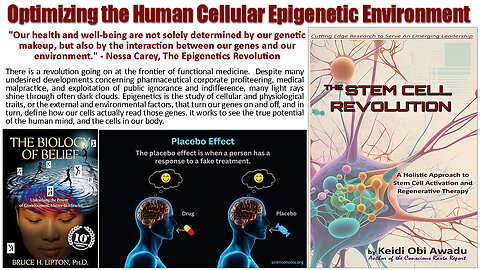 Optimizing the Human Cellular Epigenetic Environment