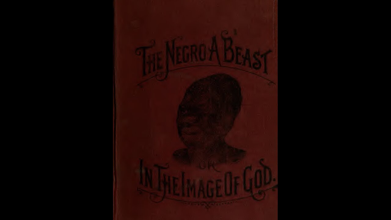 The Negr0 a beast or in the imagine of God. Chapter 5