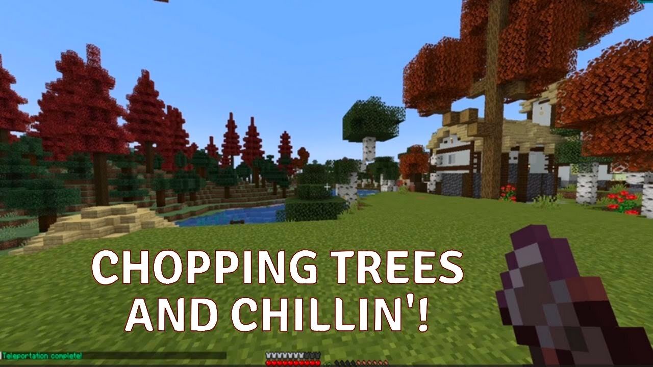 Clearing Trees (For a build) and Talking to a Friend!