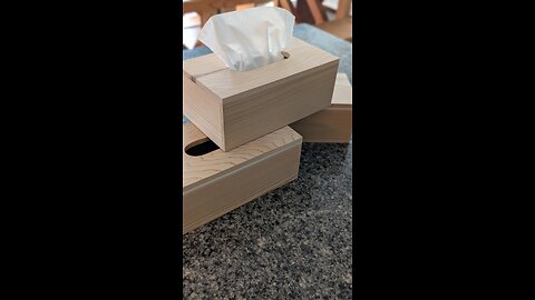 Make a Tissue Box with Me - 1/13/24