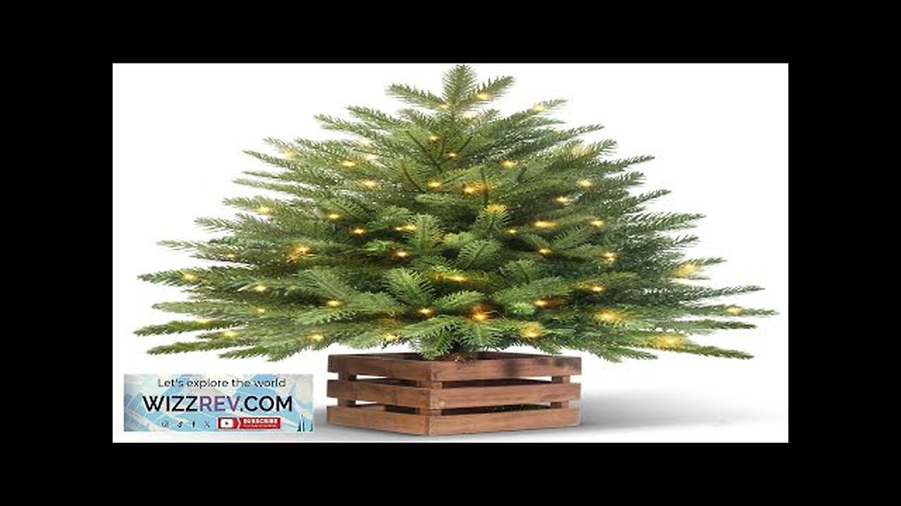 Tigejoy 2.5ft Pre-Lit Mini Xmas Christmas Tree 30 Inch Artificial Tabletop Tree Review