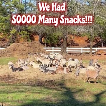 We had sooo many snacks!!