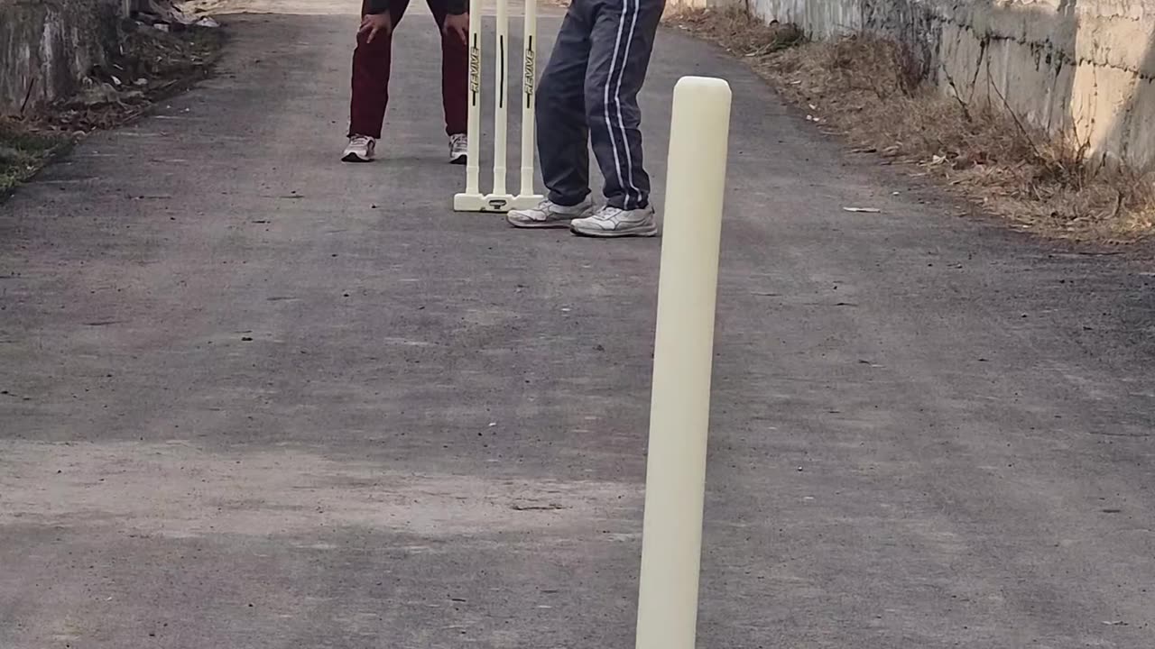 Playing street cricket