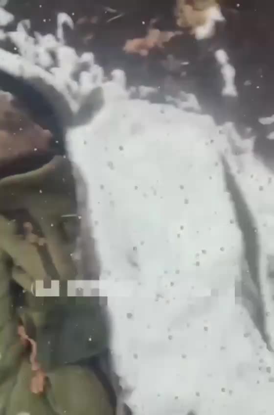 WARNING! Consequences of the Latest Round of Ukrainian Offensives in Kursk