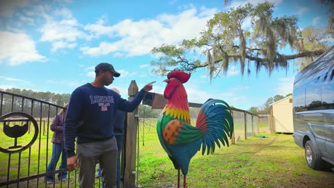 Cork Shuckin Festival WithJon| Wadmalah Island Charleston SC