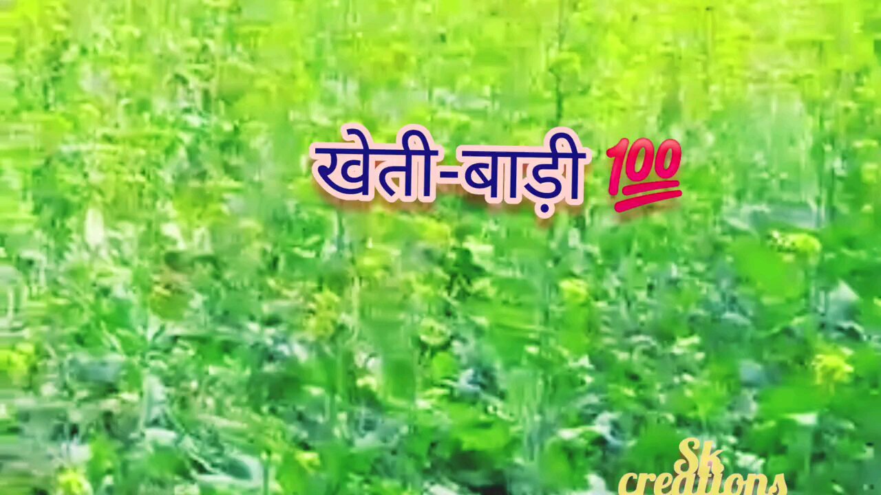New haryanvi song ringtone 2025|| #viralvideo || खेतीबाड़ी #kisankheti #trending #jamidar | 2025 ||