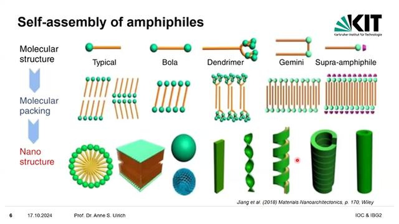 Self-Assembly of Amphiphiles