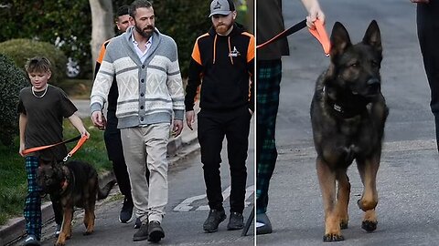 "Ben Affleck’s Family Walk with Security Dog"