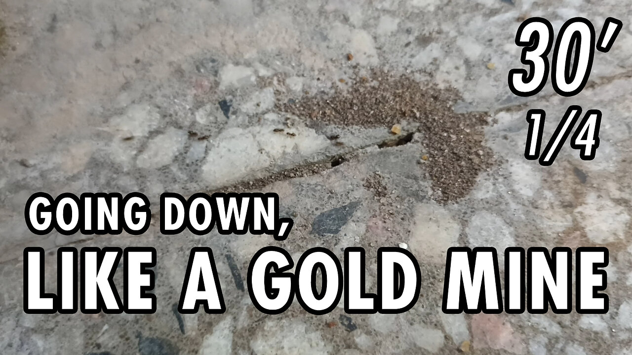 Little, very well protected (except from the rain) anthill between tiles - 30' P1