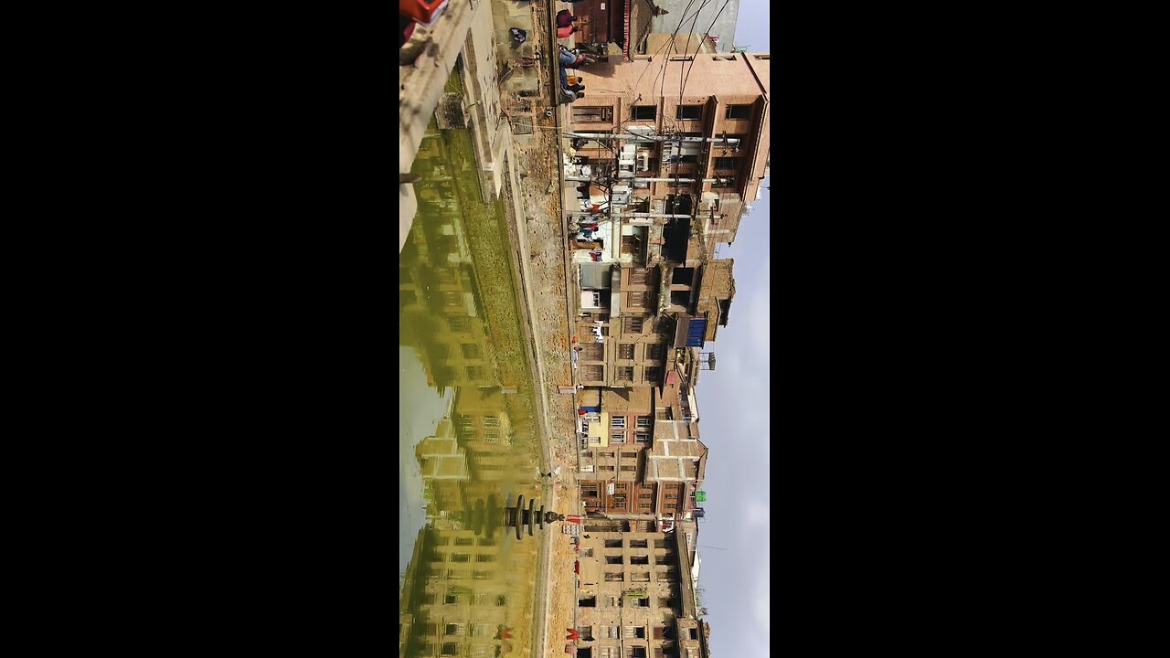 Pond