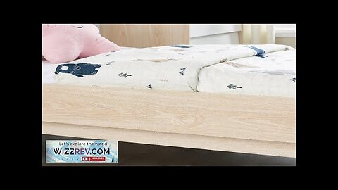 All 4 Kids Arthur Single Bed Review