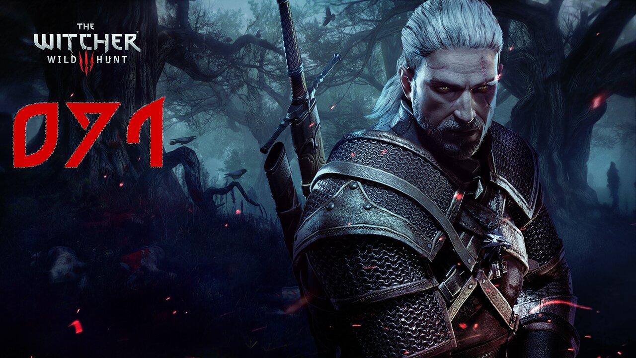 The Witcher 3 Wild Hunt GOTY Death March 071 Rosemary and Thyme