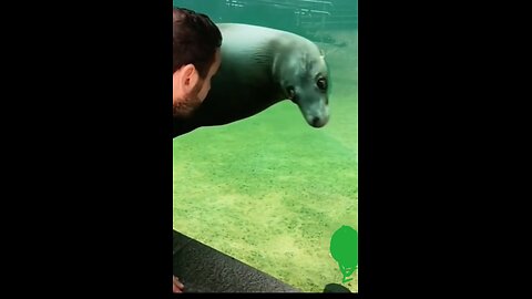 Animal jokes
