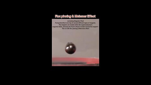 Levitating Magnetic Fluid