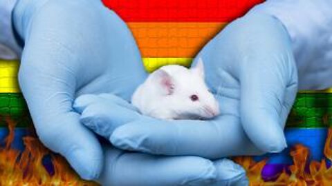 They Just Created Mice From TWO DADS Using CRISPR…