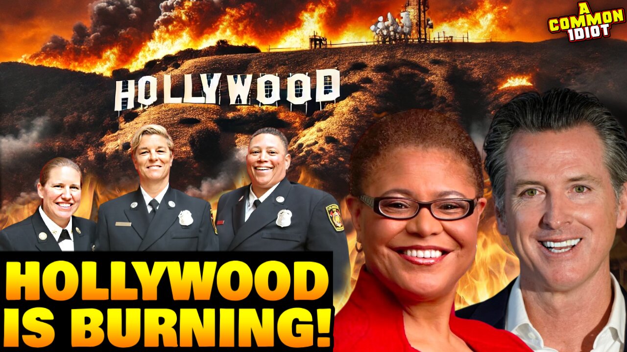 DEI literally BURNED Hollywood to the GROUND!