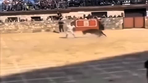 MAN DOES ACROBATICS IN FRONT OF A BULL WITHOUT ANY FEAR😨😨😨😨