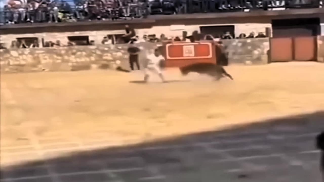 MAN DOES ACROBATICS IN FRONT OF A BULL WITHOUT ANY FEAR😨😨😨😨