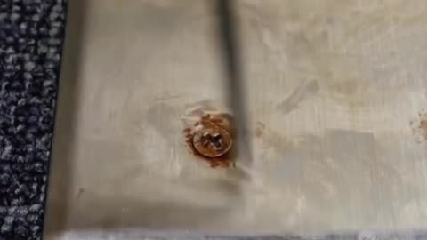 Opening a rusty screw with a simple trick