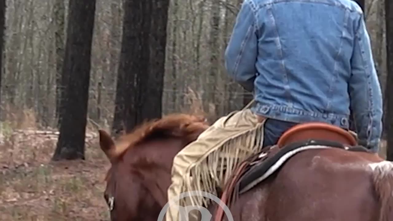 When they're going toward the trailer, release all the pressure.