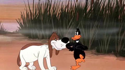 Looney Tunes Golden Collection S1949E08 Daffy Duck Hunt