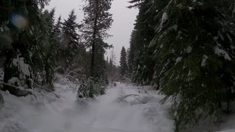 Up the Middle creek Teanaway, WA