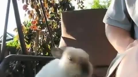 If you've never seen a baby bunny sneeze, you’re welcome!