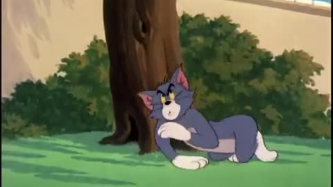 Tom and jerry tom figths a dog MP4