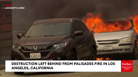 Palisades Fire Leaves Homes and Businesses Utterly Destroyed