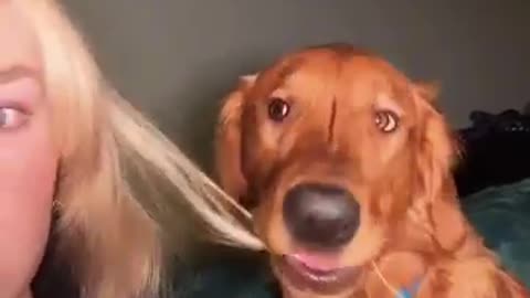 Funny dog ​​reactions