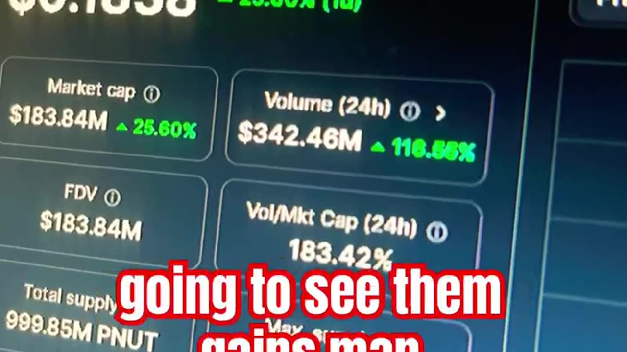 peanut the squirrel pnut crypto coin price prediction news today bull run #fyp