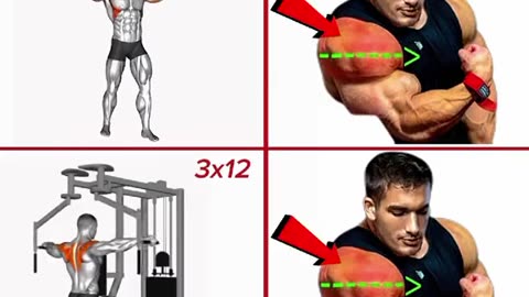 Shoulder workouts