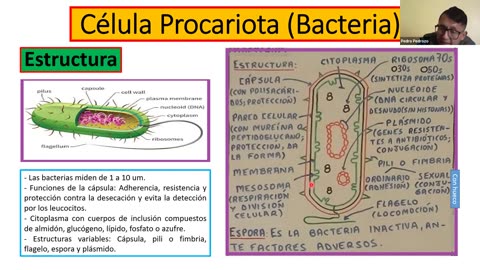 ADC SEMIANUAL 2023 | Semana 03 | Biología S1