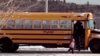 Cat waits for the kids to get on the bus every morning 🥹❤️