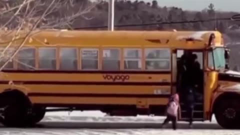 Cat waits for the kids to get on the bus every morning 🥹❤️