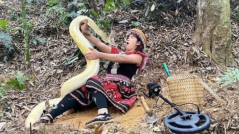 Treasure hunter suddenly attacked by giant python in the forest | Anaconda attack 2025