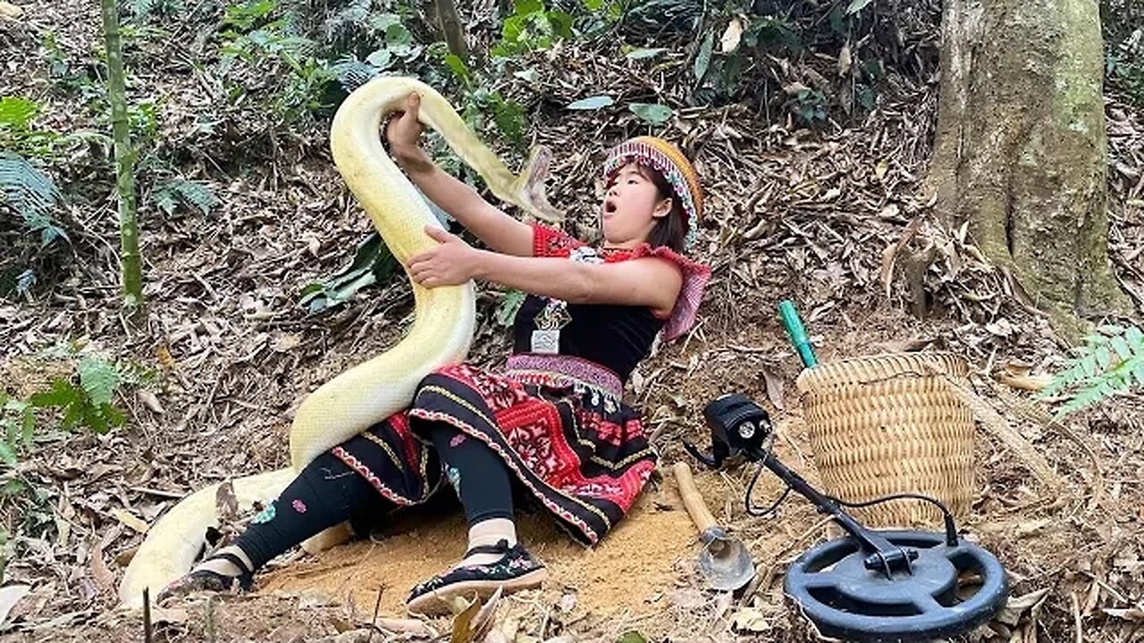 Treasure hunter suddenly attacked by giant python in the forest | Anaconda attack 2025