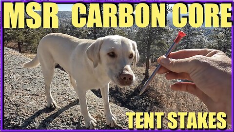 MSR Carbon Core Tent Stake Review