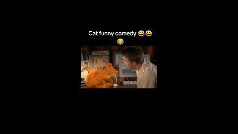 cat funny comedy