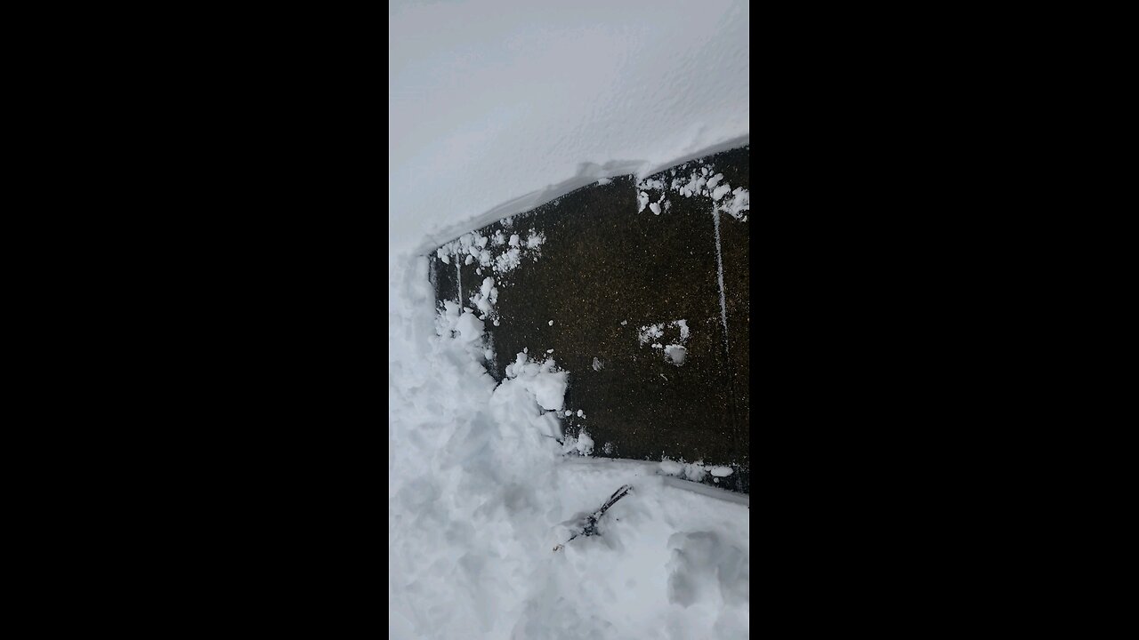 shovel snow short