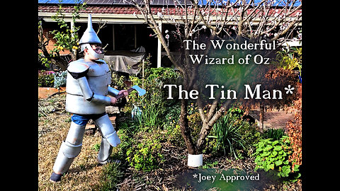 Make your own Tin Man - Joey Approved