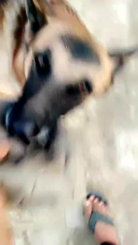 Aggression 😯 follow for more