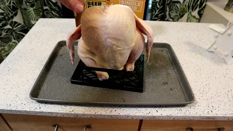 Beer Bird Single Grid Chicken Cooking Gadget Review