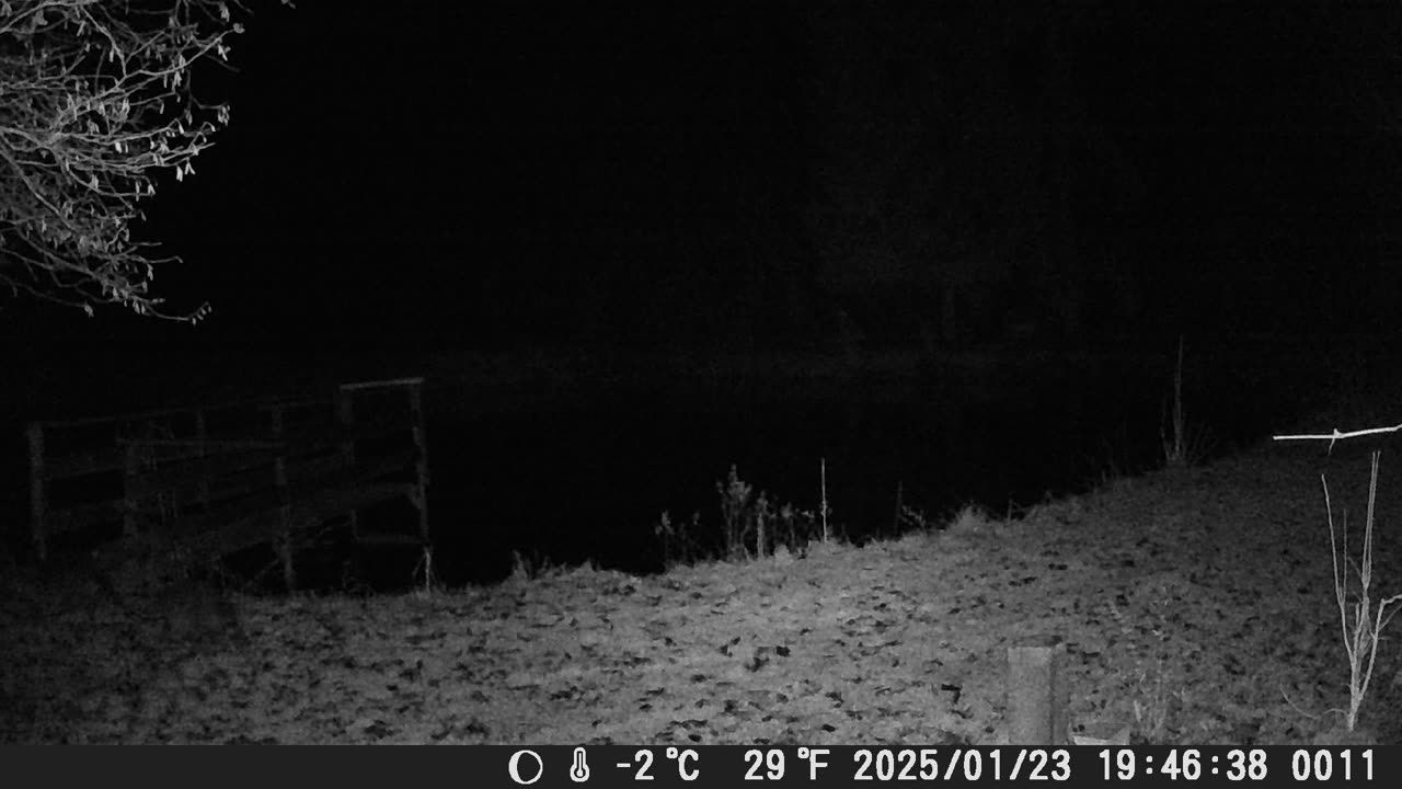 Teich23012025_2
