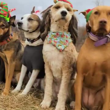 All of them deserve to be on the good list 😍