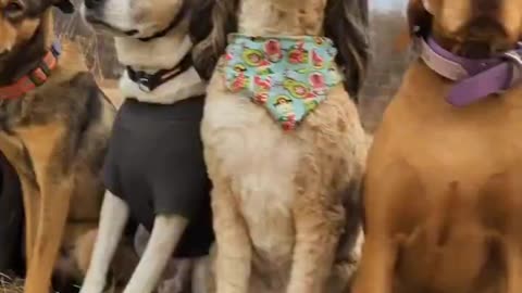 All of them deserve to be on the good list 😍