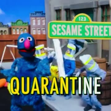 Sesame Street Predicted The Birb Flu in 2005