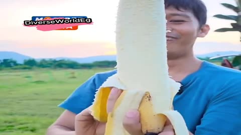أكبر موزة في العالم ستدهشك! 🍌