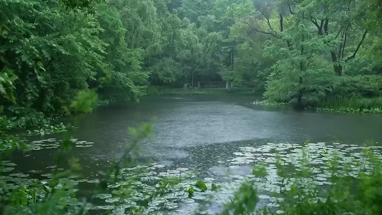 The beautiful little lake is raining