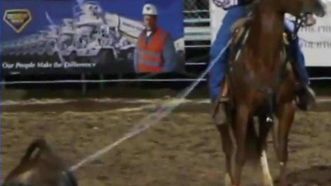 Why Did the Team Roper Bring a Ladder to the Rodeo?